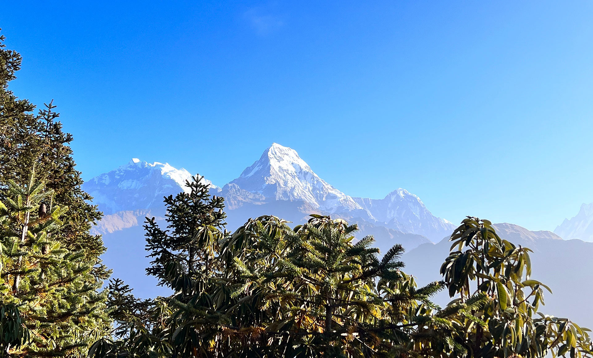 Conquer the Himalayas
