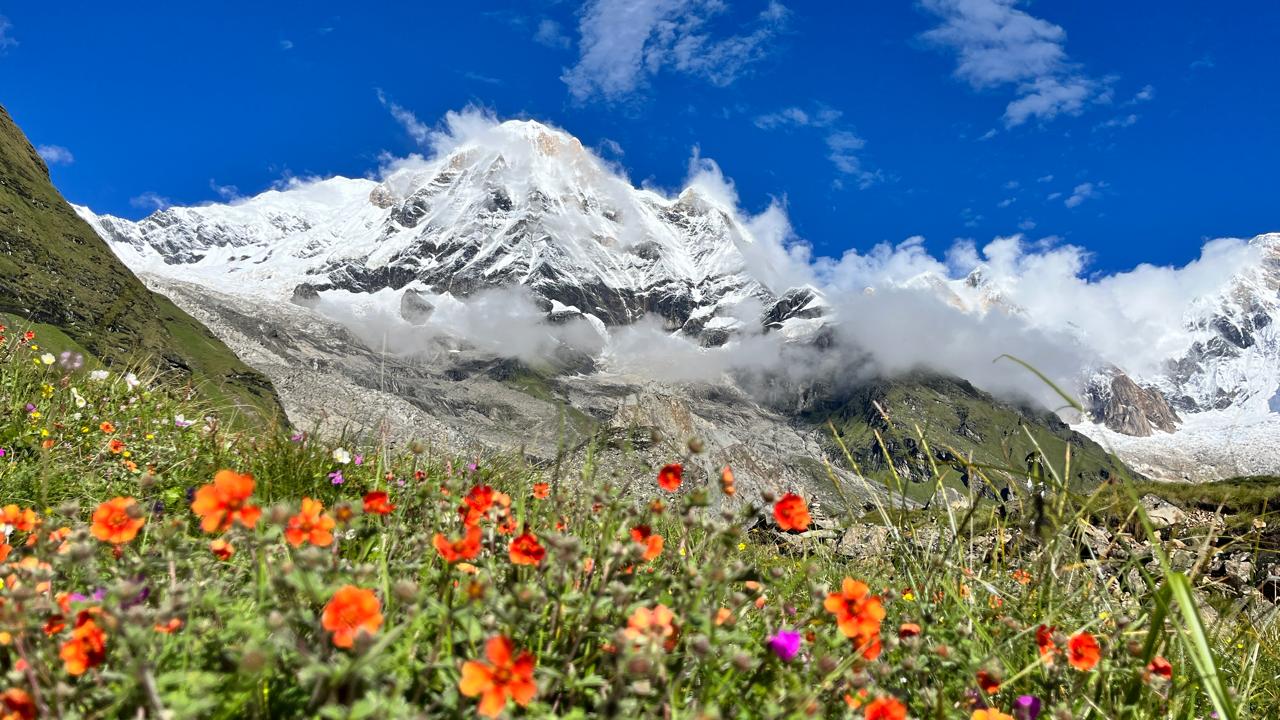 Annapurna circuit trek ( Transported by Flight from jomsom ).